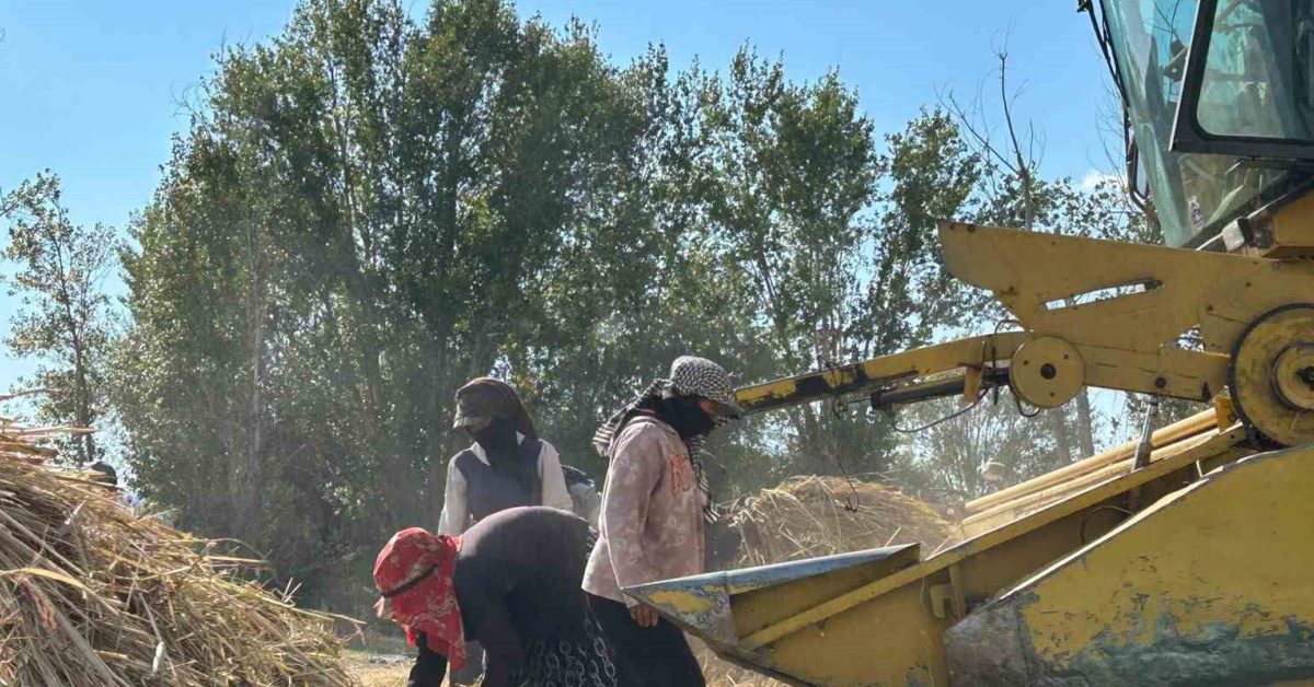 ankara kizilcahamamda yeniden basladi DuYZrR1y.jpg