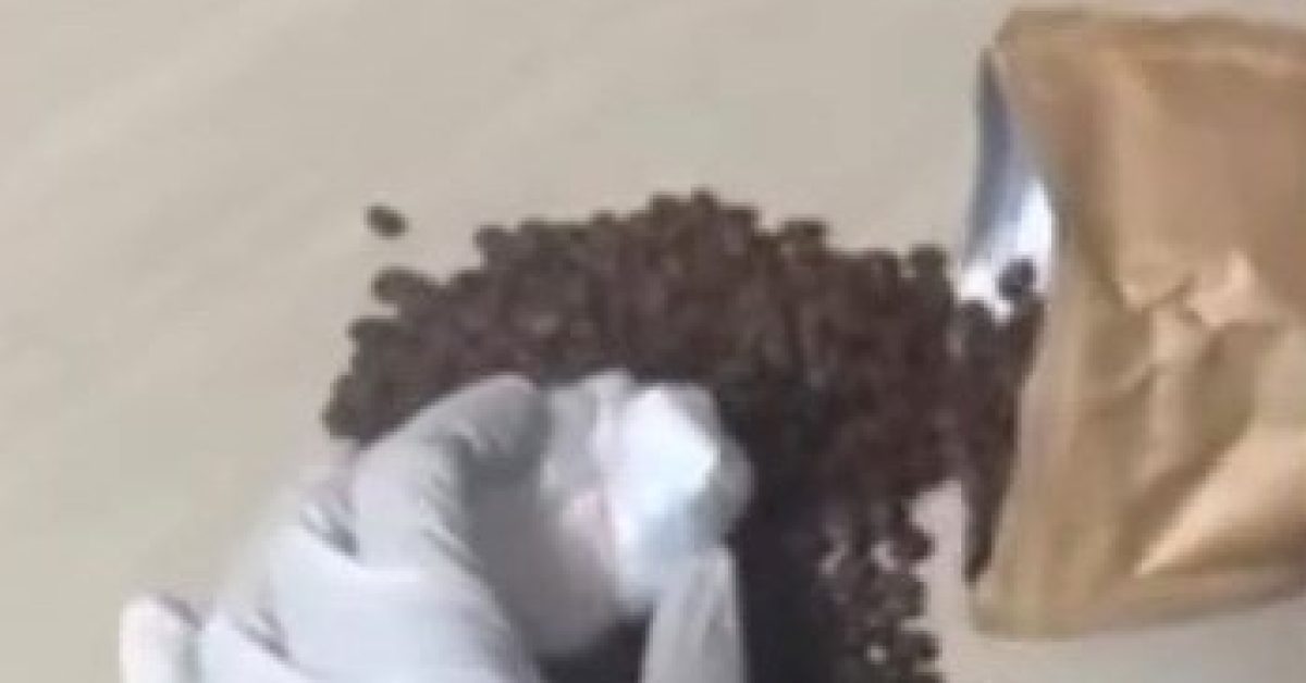 bilecikte kahve paketlerinden kokain cikti 3 kisi tutuklandi NY6vwc2A.jpg