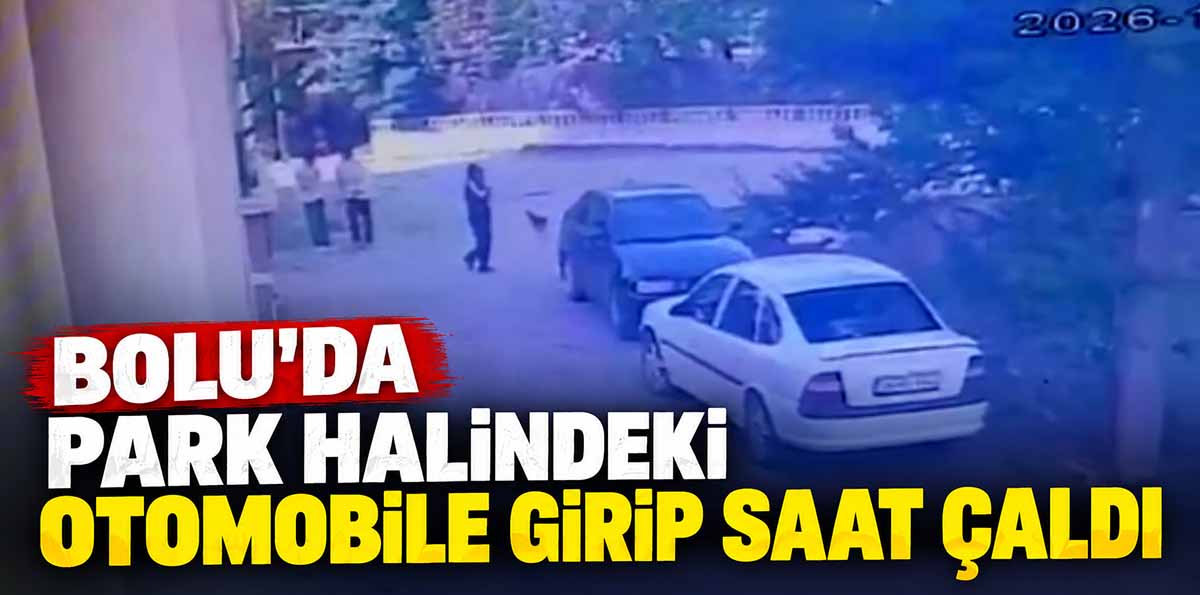 bolu park hali araç otomobil