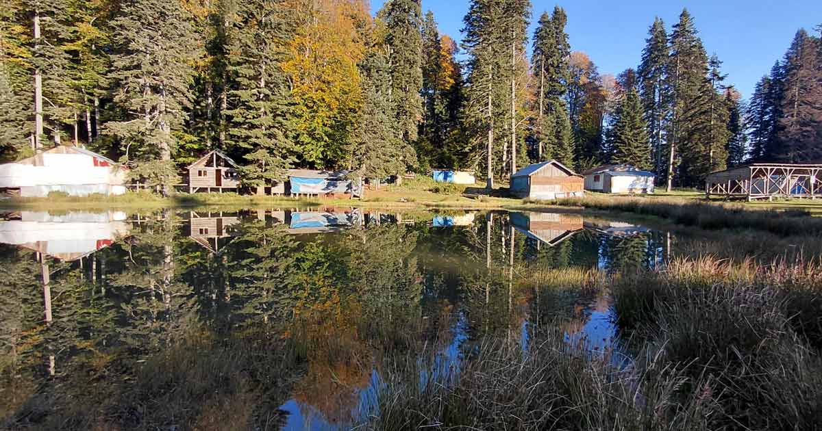 bolu pürenli yaylası 2