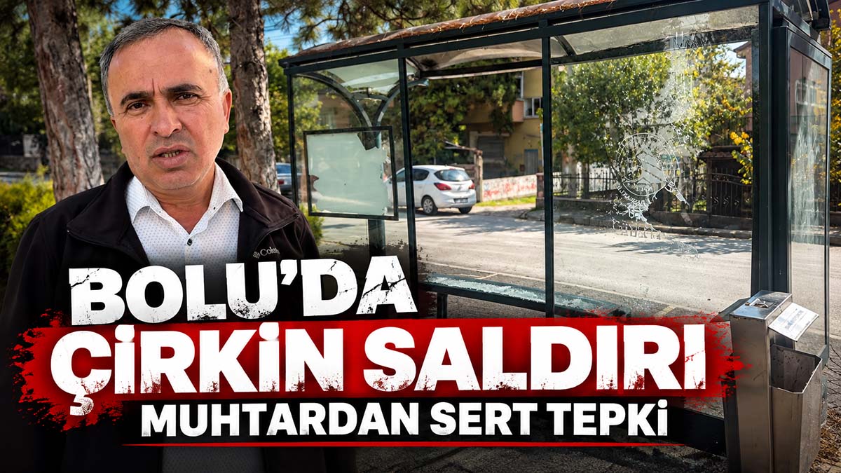 bolu sert tepki