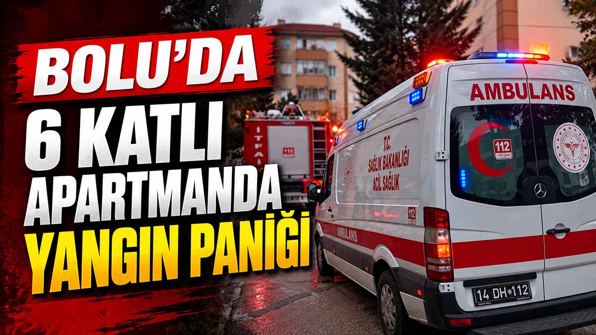 bolu yangın
