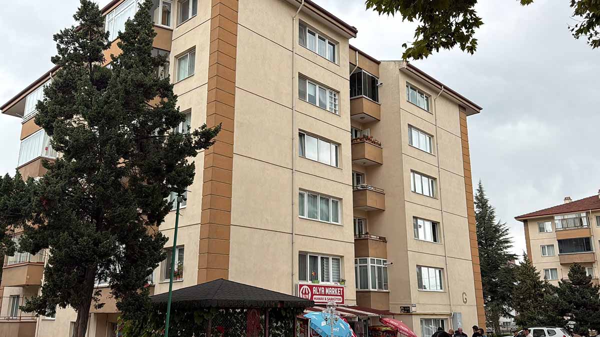 bolu yangın 2