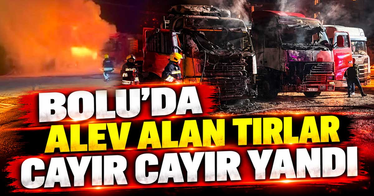 bolu yangın