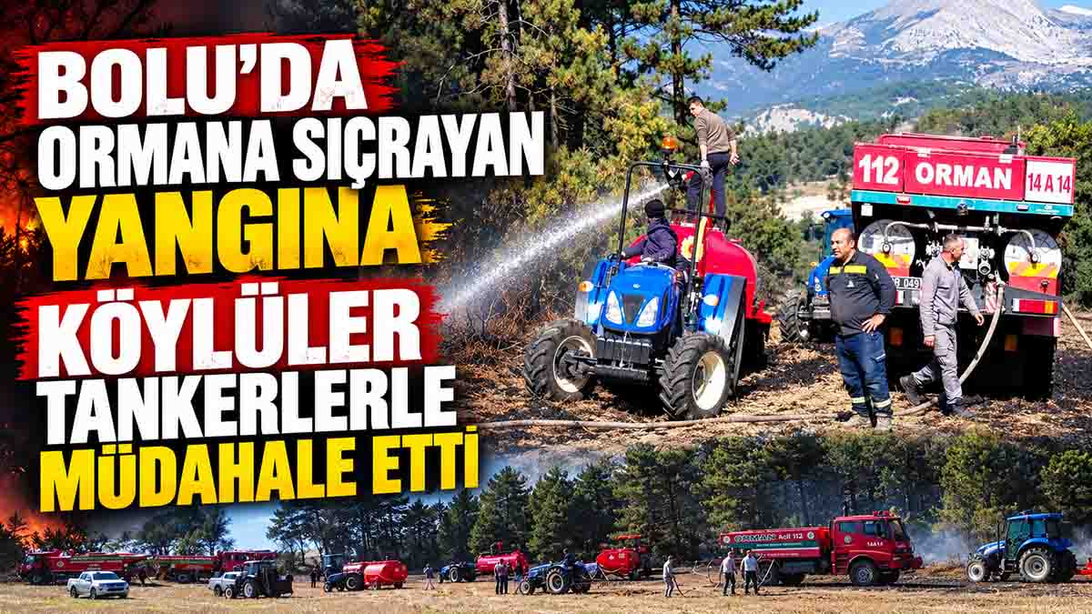 bolu yangın