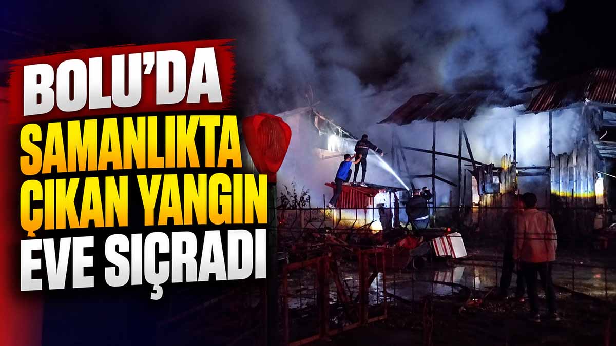 bolu yangın3