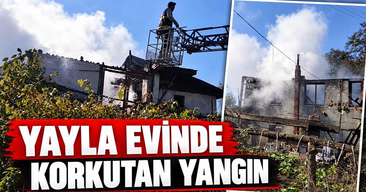 bolu yayla yangın