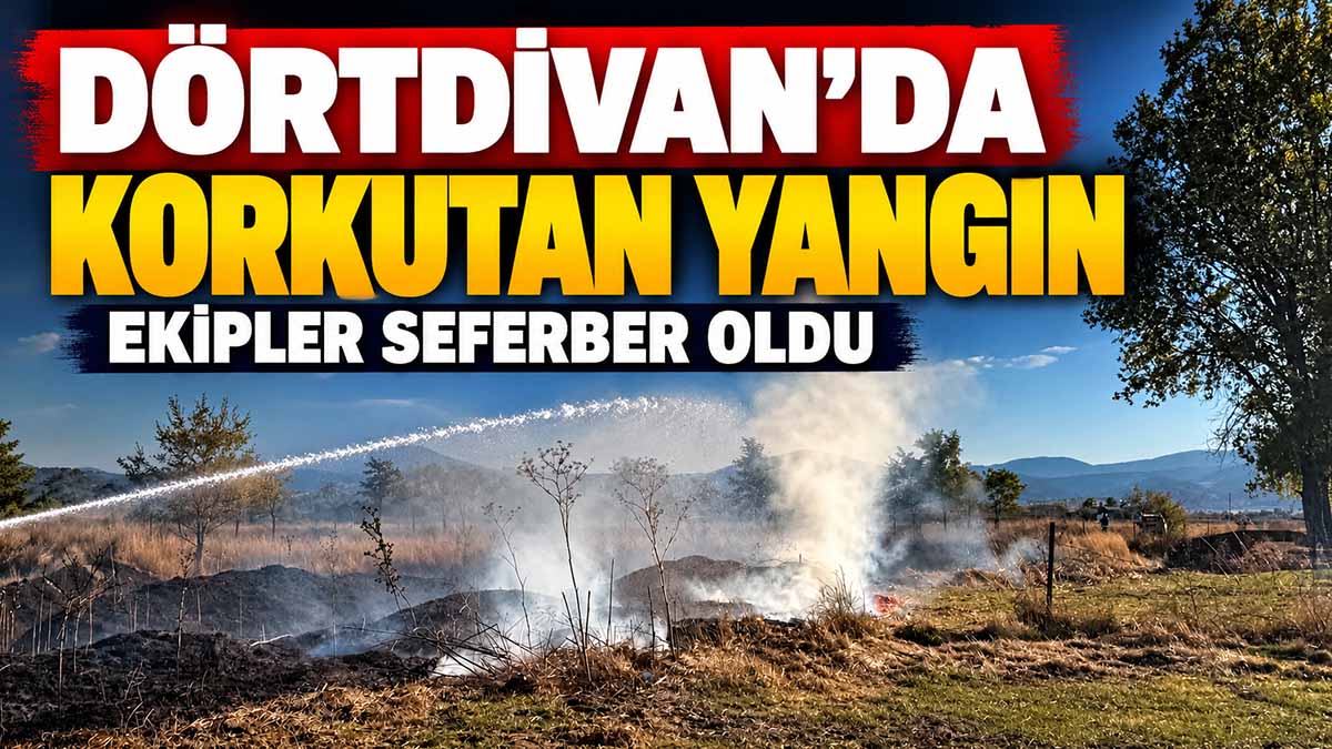 dörtdivan yangın