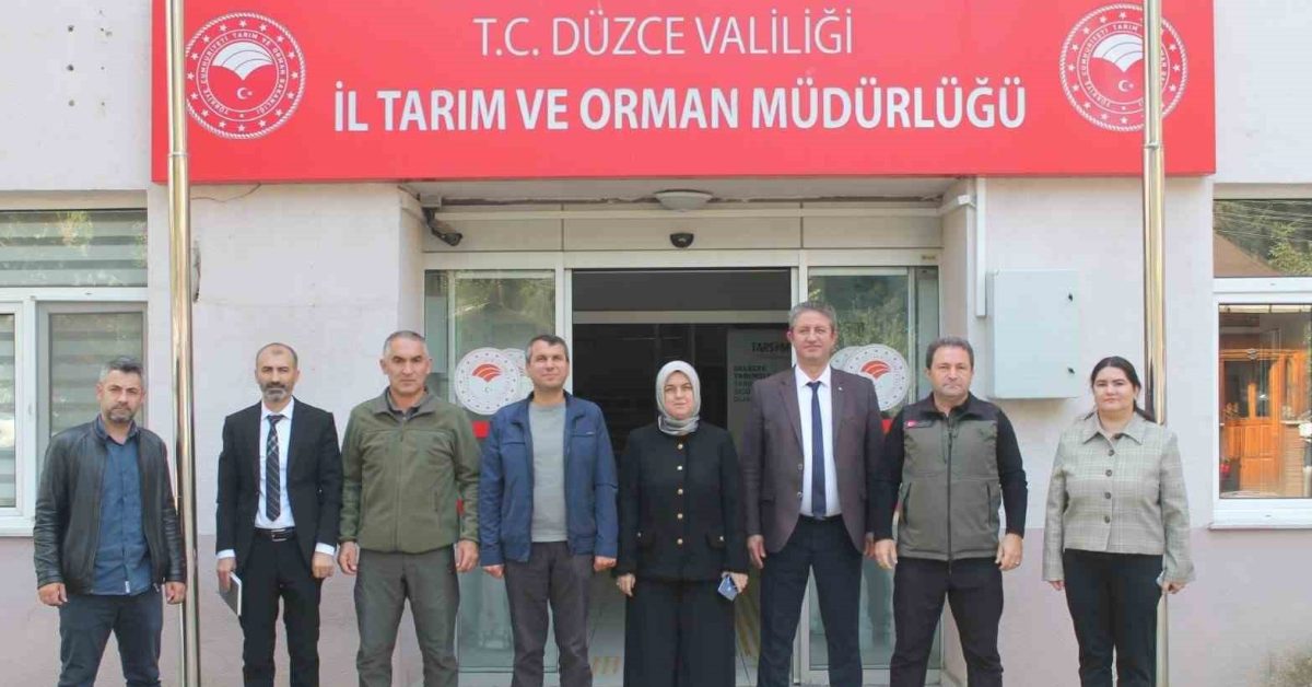duzcede bir araya geldiler BhrxjzPw.jpg