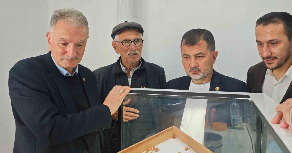 duzcede findik alimlarinda ureticilerin talepleri dinlendi OSv9Wtja.jpg