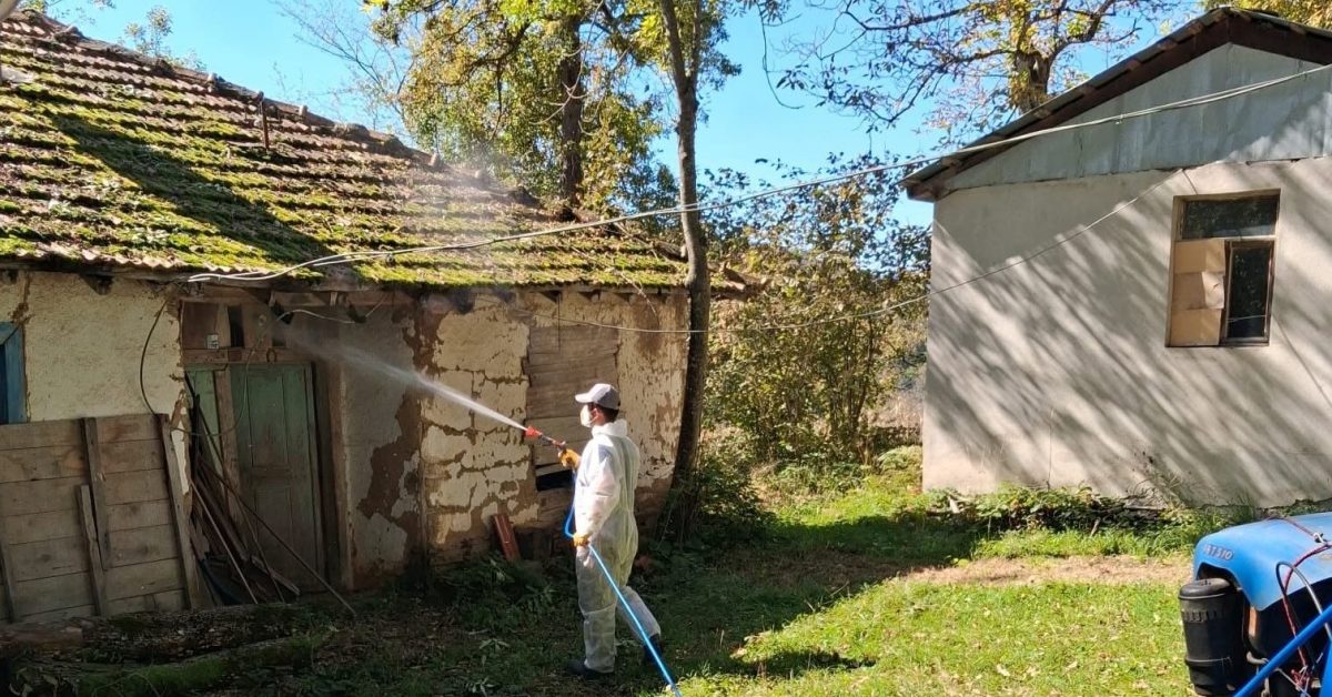duzcede kahverengi kokarcaya karsi ilaclama calismalari basladi NCz34X4l.jpg