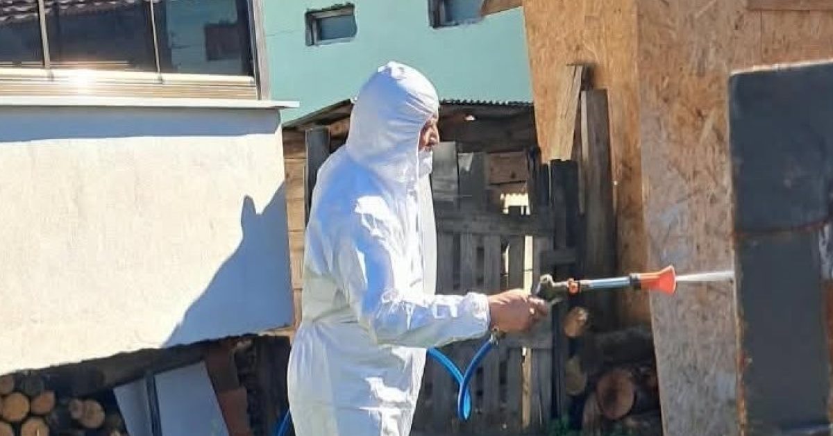 duzcede tarim icin hayati mucadele kahverengi kokarca ile savas devam ediyor zx5EyxSJ.jpg
