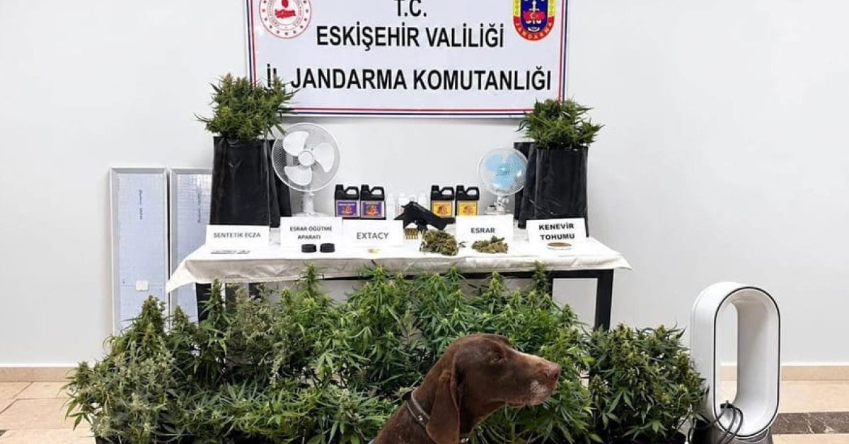 eskisehirde uyusturucu operasyonu cok sayida madde ve ruhsatsiz silah ele gecirildi OnP7nRkW.jpg