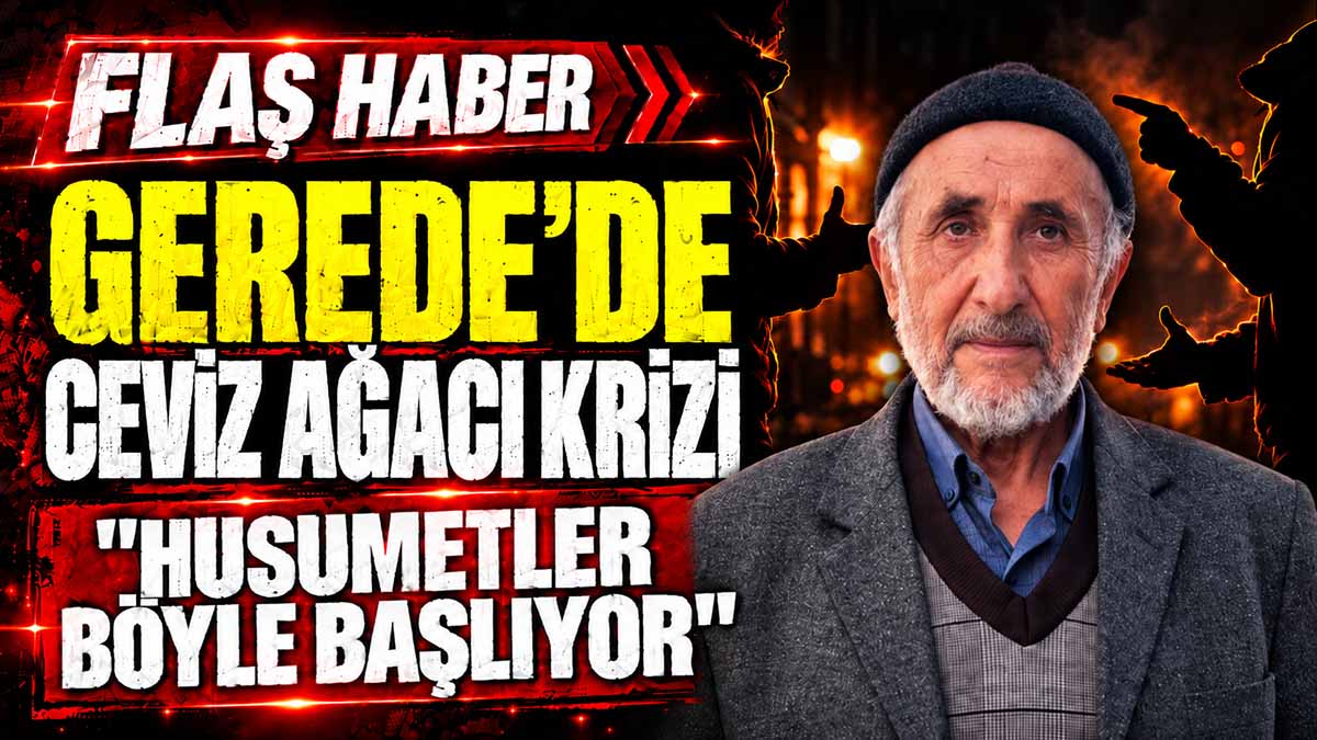 gerede ceviz ağacı krizi