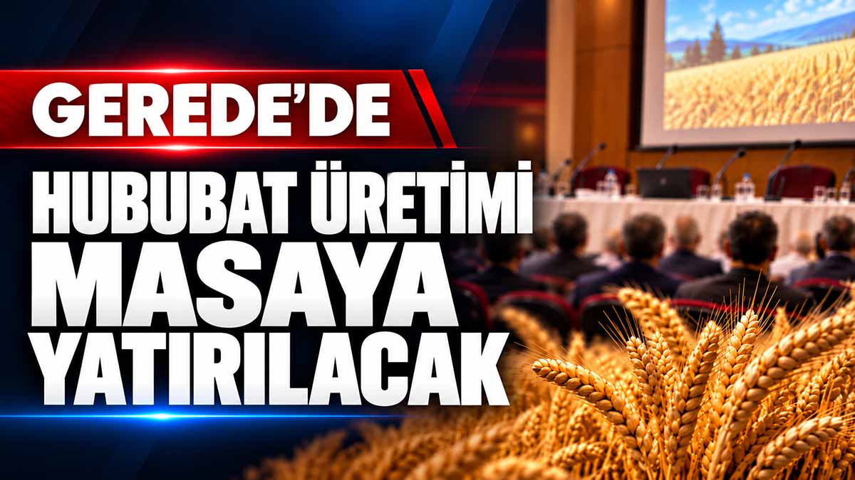gerede hubutat üretimi