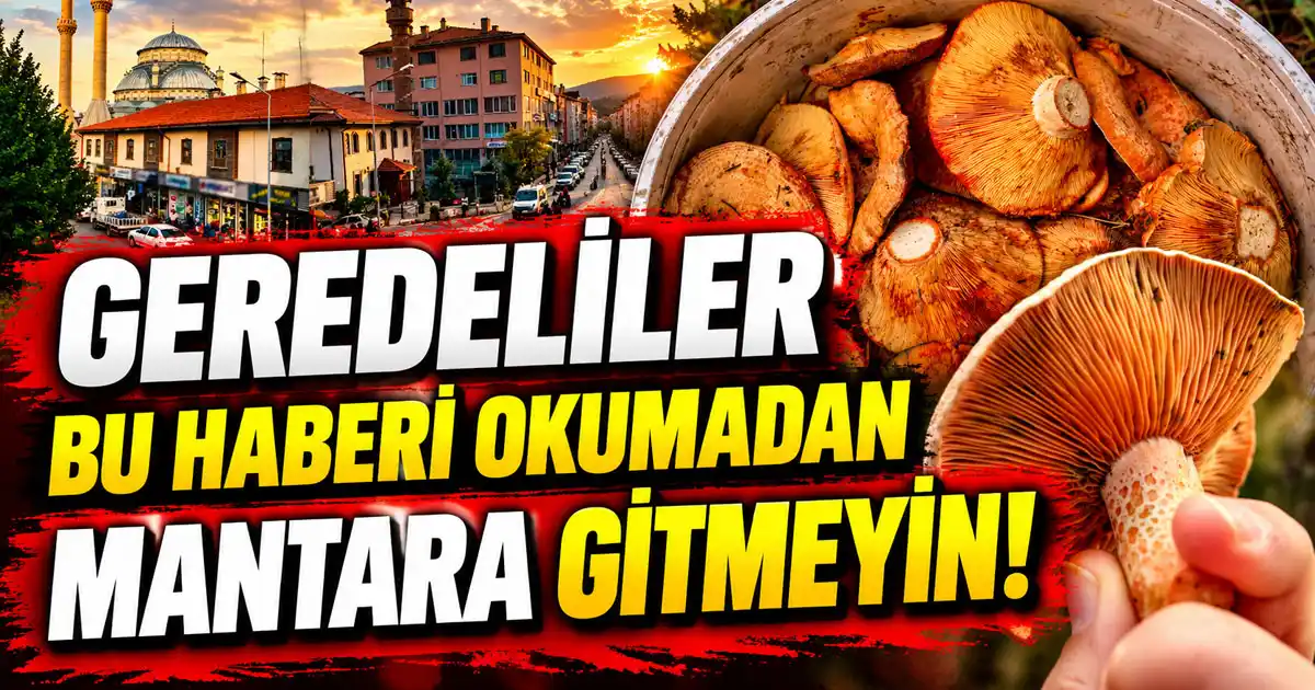 gerede kanlıca mantarı ve hava durumu