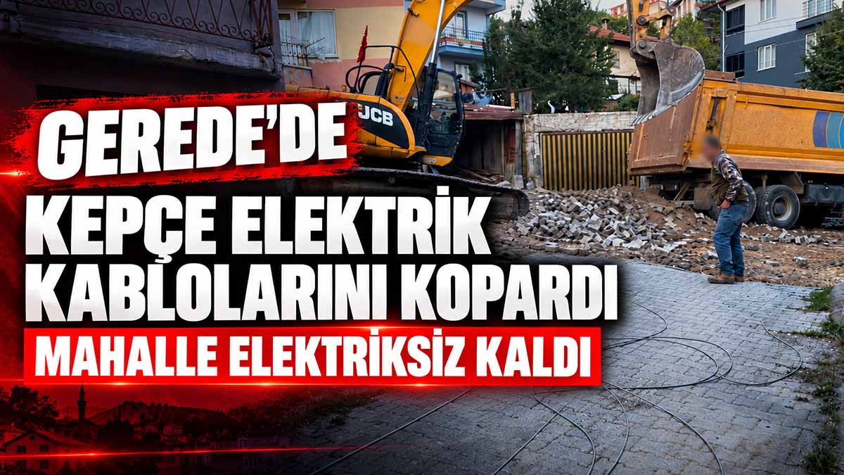 gerede kepçe elektrik