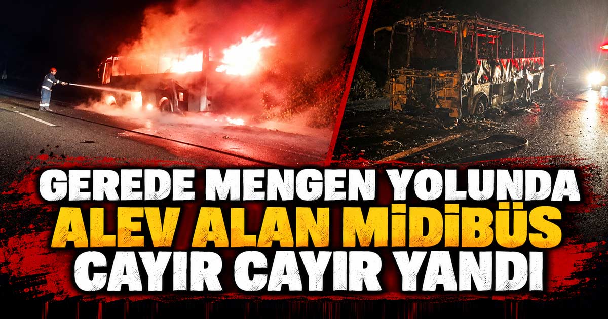 gerede mengen yolu yangın