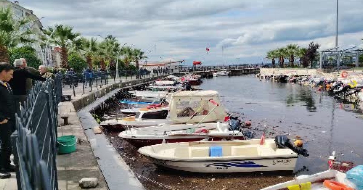 kocaelide firtina balikci teknelerine zarar verdi SDwPTFOI.jpg