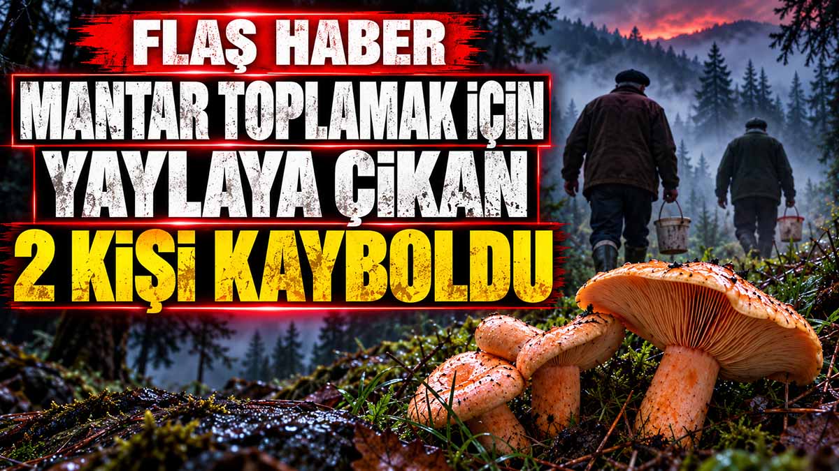 mantar yayla çıkan kayıp
