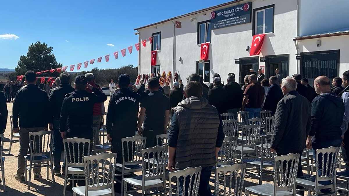 mircekiraz 2