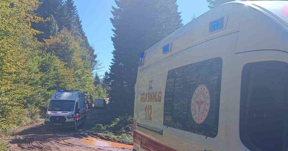 sakarya pamukovada traktor devrildi dede hayatini kaybetti torun yarali 8Hxr6sIh.jpg