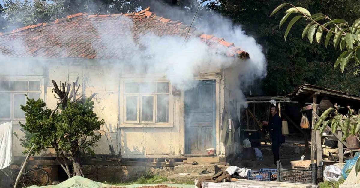 sakaryada kahverengi kokarca istilasi evleri ve agaclari sardi RIg9jNGg.jpg