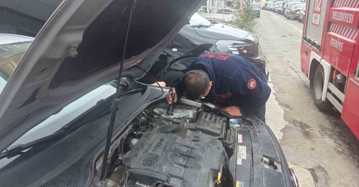 zonguldak ereglide motora giren yavru kedi bir saat sonra kurtarildi FrvJyWYL.jpg