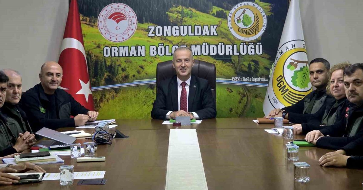 zonguldakta orman degerlendirmesi IfxbMp3T.jpg